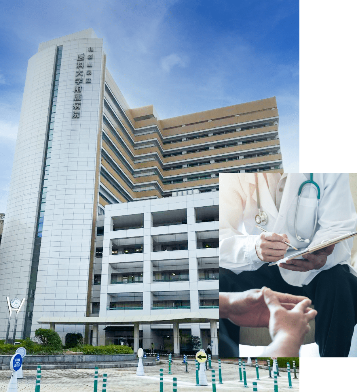 和歌山におけるリウマチ・膠原病診療の拠点をめざして